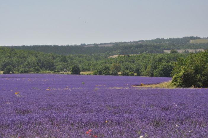 Una precedente gita dell'associazione culturale Camminare in camper di Saluzzo
