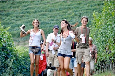 A La Morra torna il tradizionale appuntamento con la Mangialonga