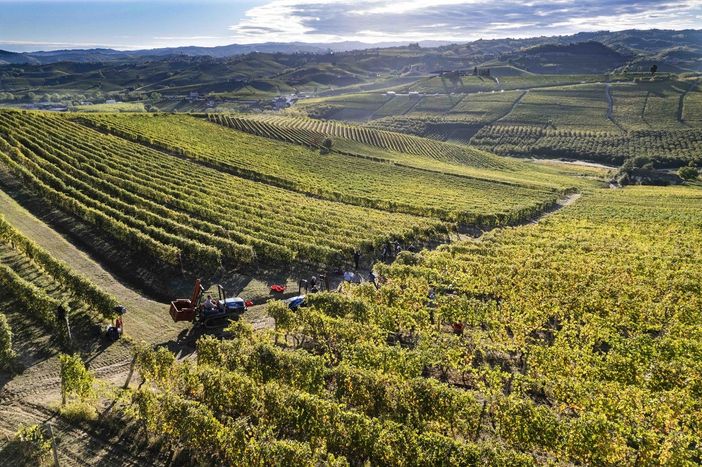 Vigneti Chiarlo a Barolo