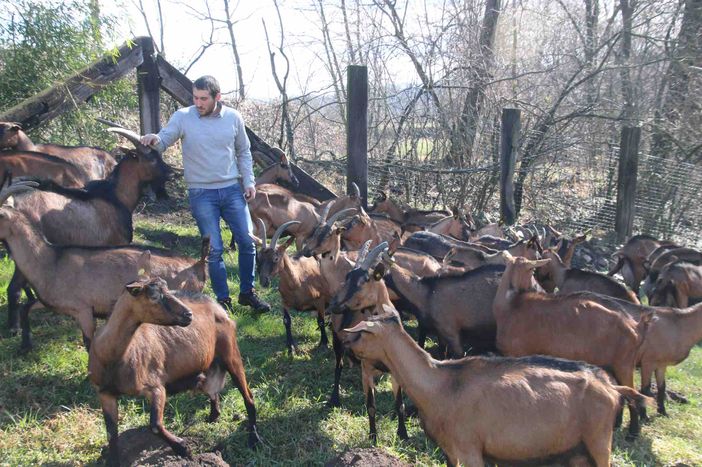 Mattia con le capre nello spazio aziendale all'aperto di Cascina San Quirico