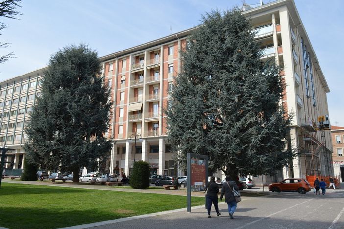 "Chiediamo che la salvezza dei cedri di piazza Europa sia messa nero su bianco" "Chiediamo che la salvezza dei cedri di piazza Europa sia messa nero su bianco"