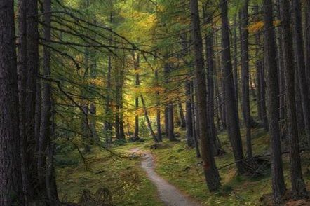 Immagine di repertorio