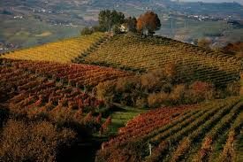 CNA Cuneo e Consorzio Eccellenze di Langhe, Monferrato e Roero uniti per promuovere i prodotti del territorio