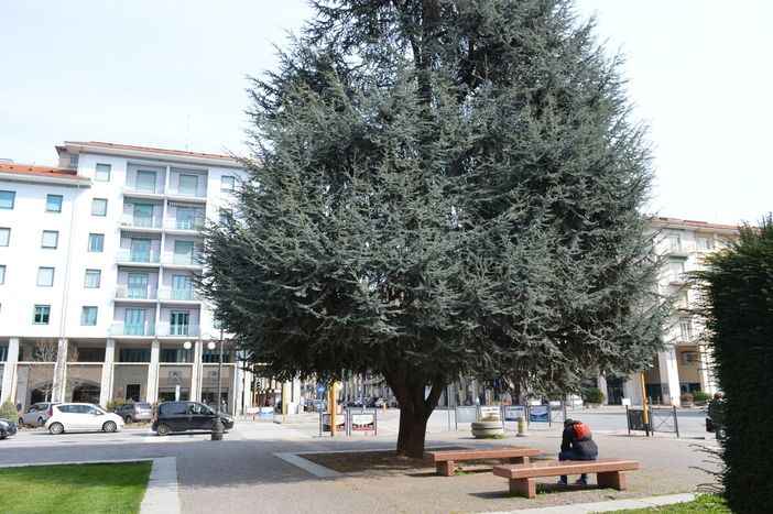 Il progetto sul rifacimento di Piazza Europa è una delle opere più controverse della città negli ultimi anni