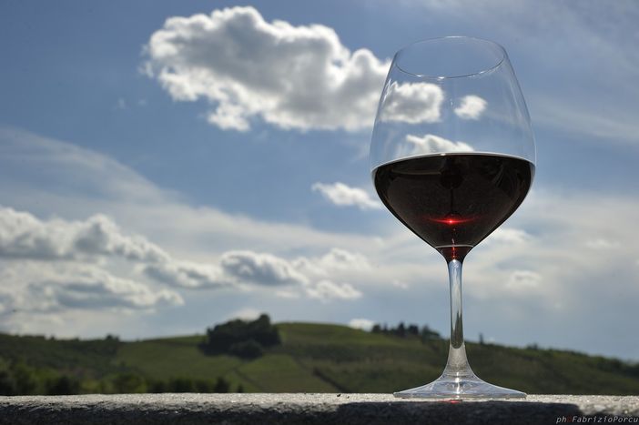 Barolo e Costigliole d'Asti unite dal progetto di un centro studi internazionale del vino e del cibo