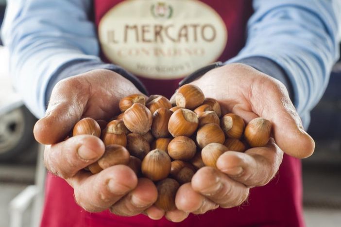 Immagine di repertorio