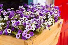 In arrivo 26 fioriere per abbellire la nuova via Roma In arrivo 26 fioriere per abbellire la nuova via Roma