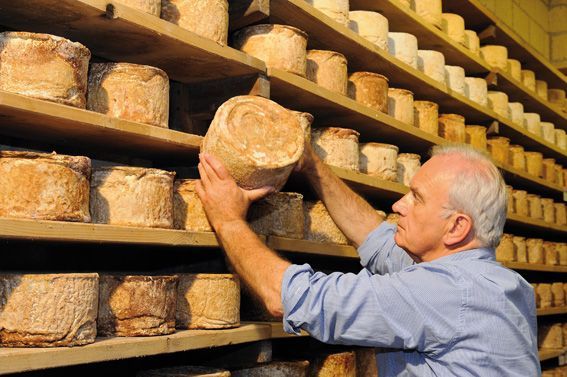Italian Cheese Awards: al caseificio La Meiro di Castelmagno il 1° premio per il “Castelmagno d’alpeggio”