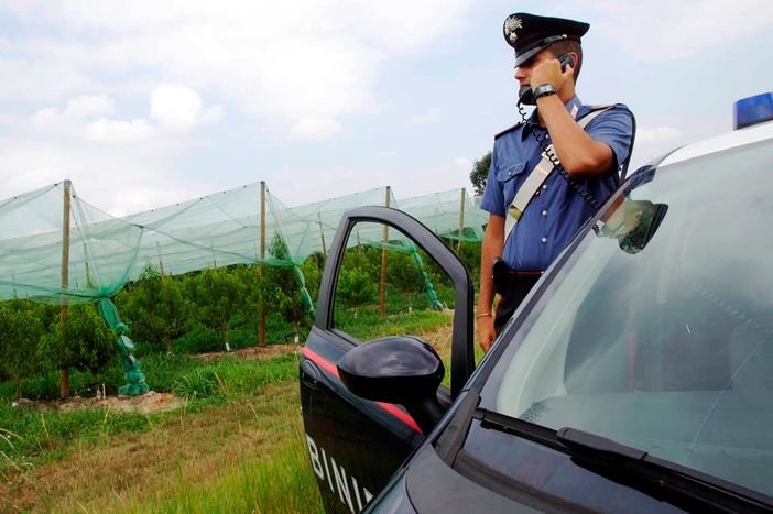 I carabinieri di Saluzzo contro il lavoro "nero": tra i filari riscontrate 9 violazioni I carabinieri di Saluzzo contro il lavoro "nero": tra i filari riscontrate 9 violazioni