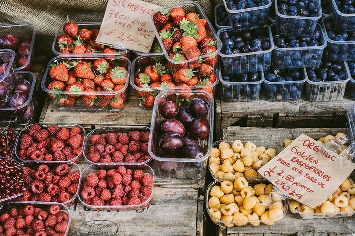 Foto Pexels Foto Pexels