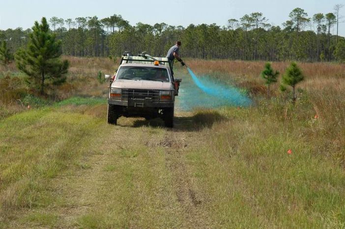 Foto Pixnio Foto Pixnio