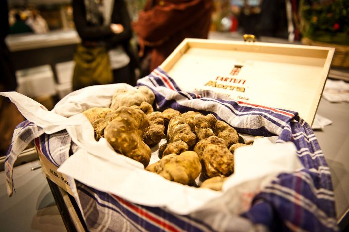 Alba, il Premier Renzi presente all’inaugurazione della Fiera del Tartufo Alba, il Premier Renzi presente all’inaugurazione della Fiera del Tartufo