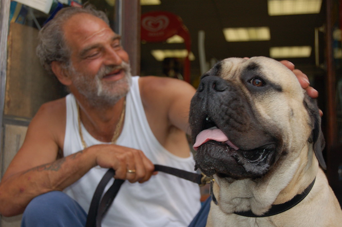 I piemontesi amano i cani: a rivelarlo è Google