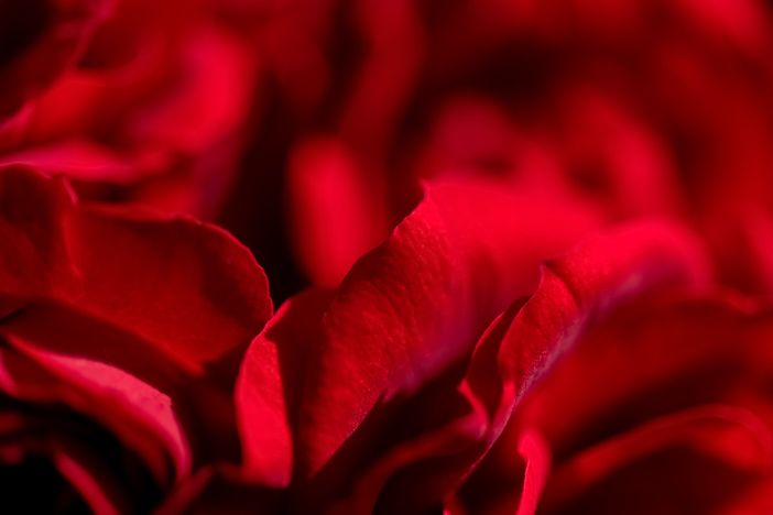 Connessioni intime su CAM4: esplorare la sensualità e la sessualità online