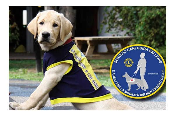 Un cane per la vista e per la vita Un cane per la vista e per la vita