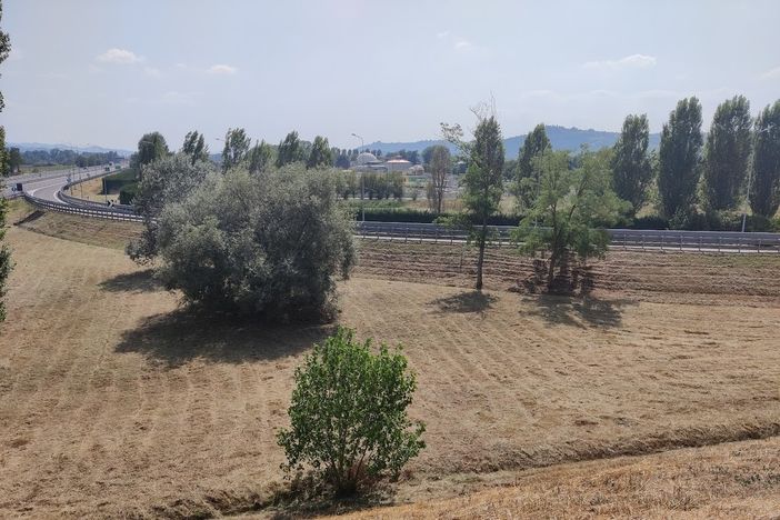 La zona dell'impianto La zona dell'impianto