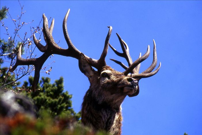 Fine settembre in valle Stura con cultura, natura e tradizioni Fine settembre in valle Stura con cultura, natura e tradizioni