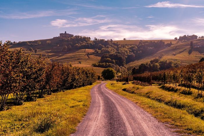 Un paesaggio autunnale nelle Langhe (Langhe Experience)