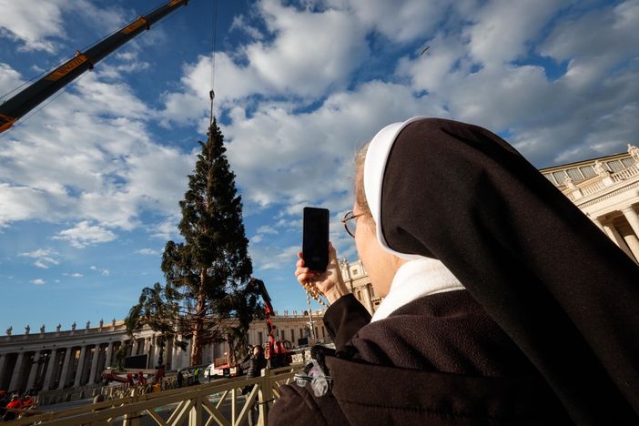 L'arrivo e la posa dell'abete in piazza San Pietro (Ph. Ansa Giupiemofoto)