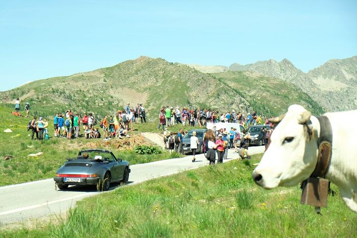 Seguire dal vivo la transumanza, in Valle Stura si può