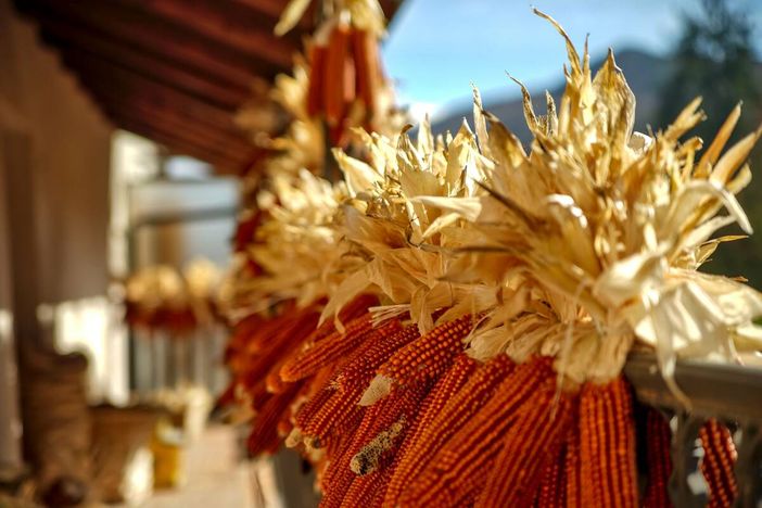 Nasce l’“Anello del Gusto”: passeggiate, sapori e incontri per scoprire la valle Maira in ogni stagione