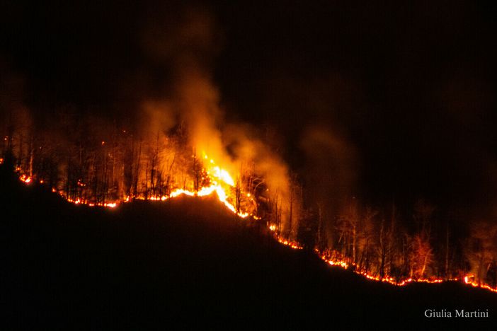 Foto di Giulia Martini