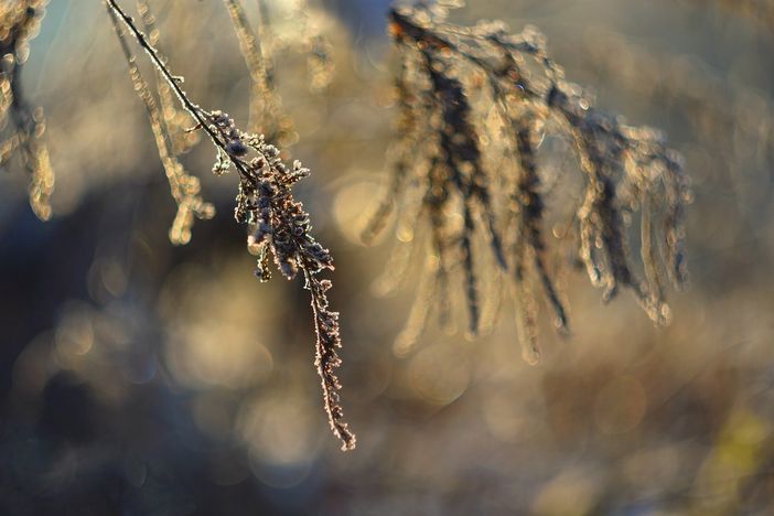 Immagine di repertorio