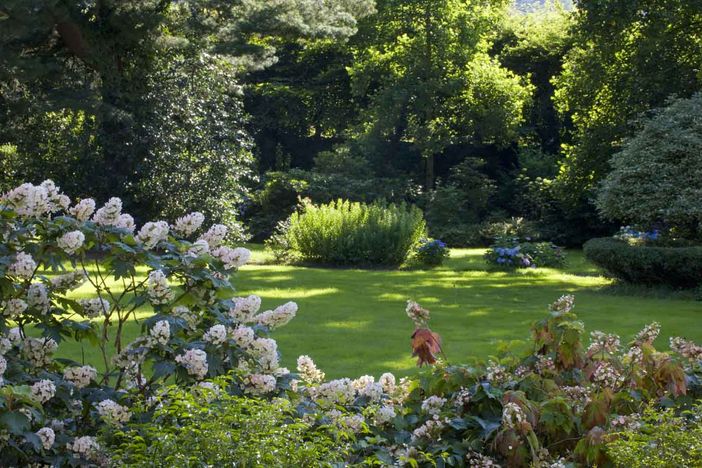 Al Palazzo Malingri di Bagnolo un'imperdibile fioritura delle ortensie Al Palazzo Malingri di Bagnolo un'imperdibile fioritura delle ortensie