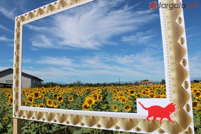 Si lavora per la quarta edizione di "Girasoli a Farigliano" con i campi fioriti e il labirinto Si lavora per la quarta edizione di "Girasoli a Farigliano" con i campi fioriti e il labirinto