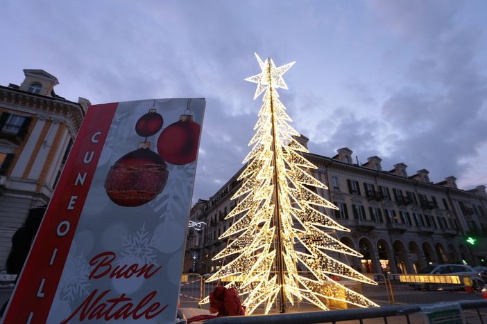 Albero di Natale in piazza galimberti a Cuneo