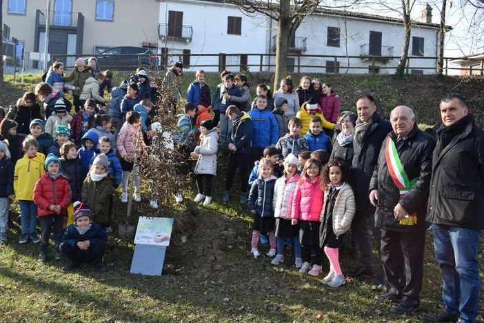 Alba: i 30 alberi del Bosco incantato di “Notti della Natività” germoglieranno in altrettanti Comuni
