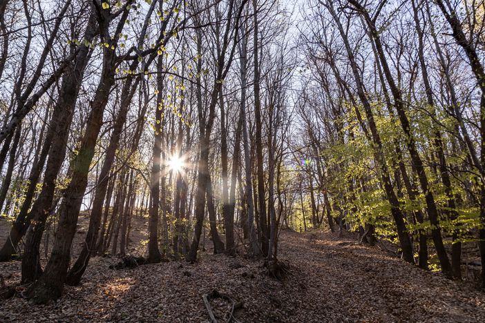 Foto generica Foto generica