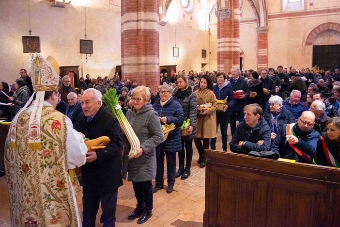 Doni della terra a Staffarda, Coldiretti: è il ringraziamento dell’agricoltura impegnata a costruire futuro Doni della terra a Staffarda, Coldiretti: è il ringraziamento dell’agricoltura impegnata a costruire futuro