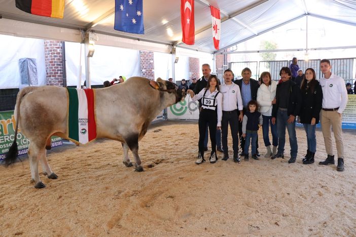 Campione assoluto della mostra è stato Bigbeng, esemplare presentato dall'allevatore di Crissolo Giovanni Dalmasso