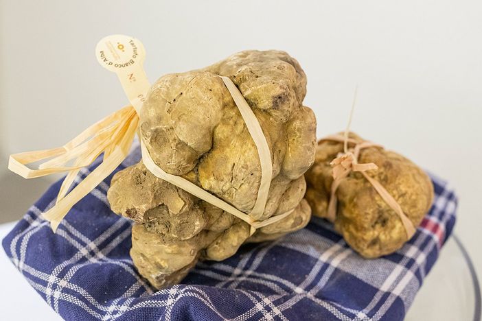 Ad Alba prosegue la Fiera internazionale del tartufo bianco d'Alba (Giorgio Perottino Getty Images)