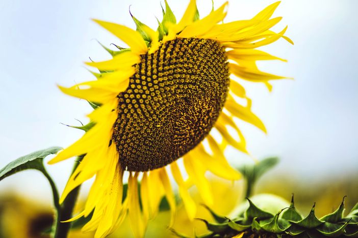 Foto generica Foto generica