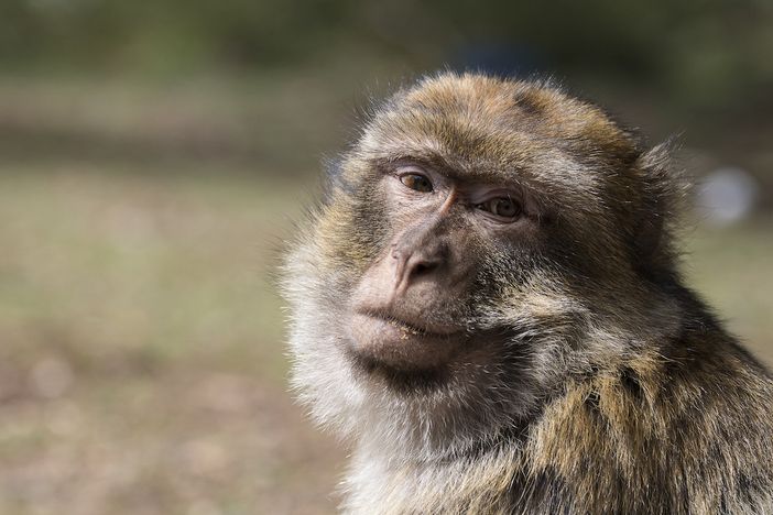 Foto di Grazia Bertano