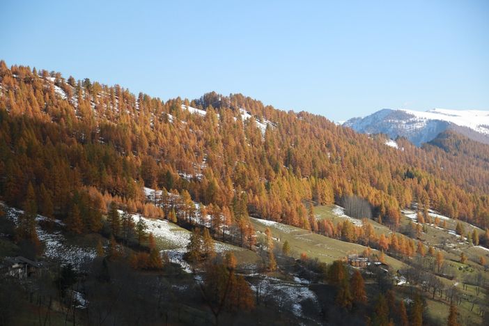 Consorzio Turistico Valle Maira illustra ai cittadini il lavoro svolto sinora