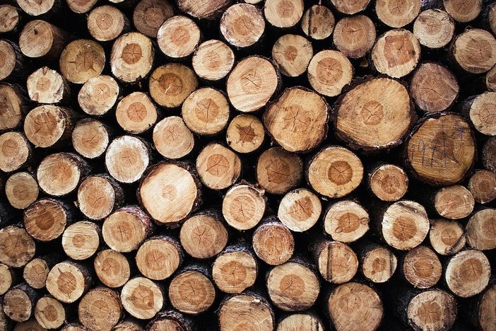 Immagine generica Immagine generica