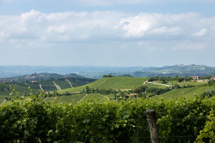 Panorama Langa del Barbaresco (Archivio Ente Turismo Langhe Monferrato Roero)