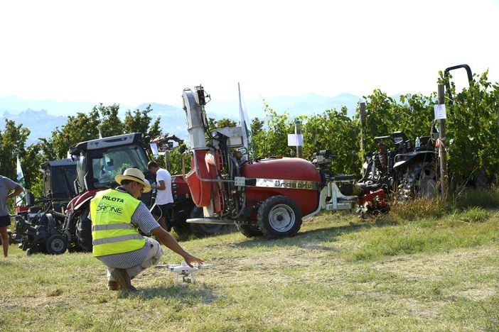 In arrivo la nona edizione delle prove in vigneto organizzata da Confagricoltura ad Alba In arrivo la nona edizione delle prove in vigneto organizzata da Confagricoltura ad Alba