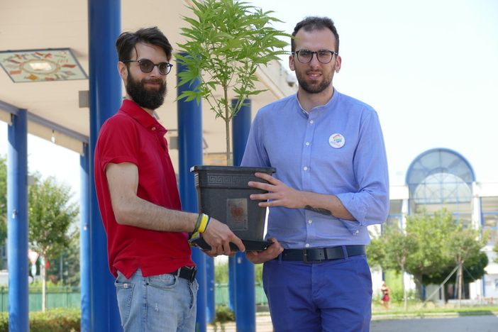 Consumo di crack tra i giovanissimi, Fiorito: "Da Manassero analisi puntuale del problema, ma nessuna soluzione"