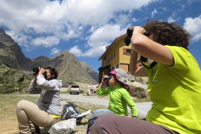 "Un parco da vivere": ecco tutti gli appuntamenti estivi nelle Aree Protette Alpi Marittime "Un parco da vivere": ecco tutti gli appuntamenti estivi nelle Aree Protette Alpi Marittime