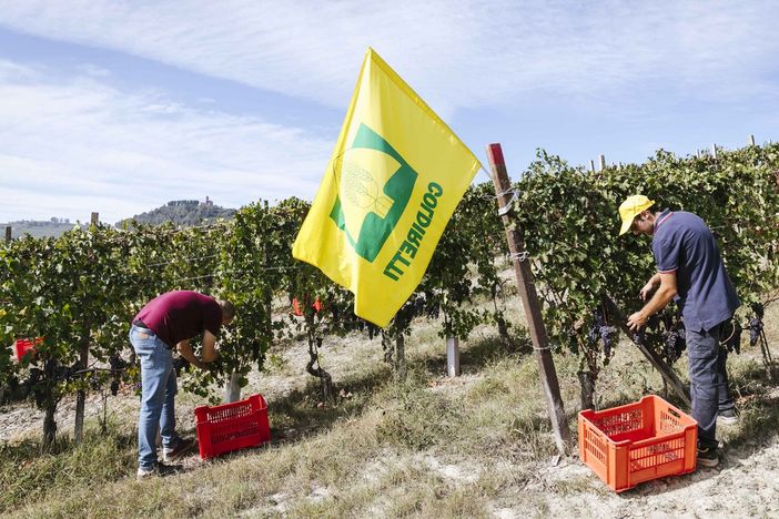 Psr, Coldiretti Cuneo: apre il bando "pacchetto giovani"