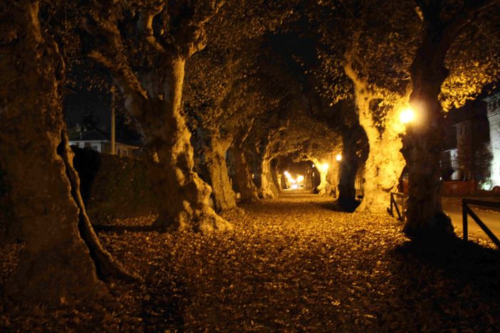 Cherasco: in mostra gli scorci notturni e le chiocciole di Sara Bioletti Priamo Cherasco: in mostra gli scorci notturni e le chiocciole di Sara Bioletti Priamo