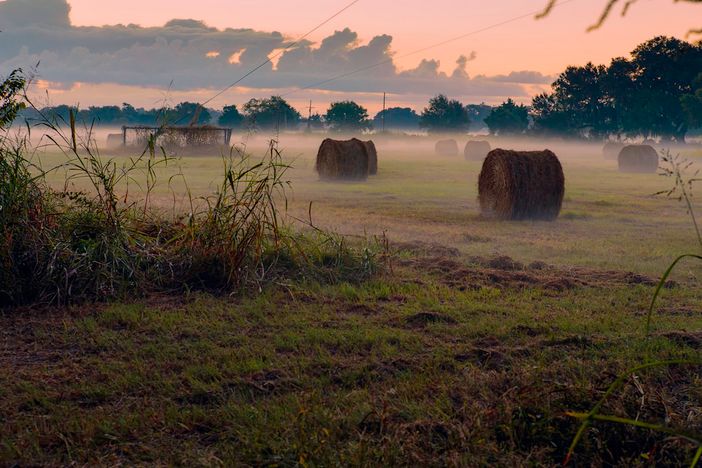 A Cherasco il convegno sul progetto "Fieno Solidale" della condotta Slow Food Bra