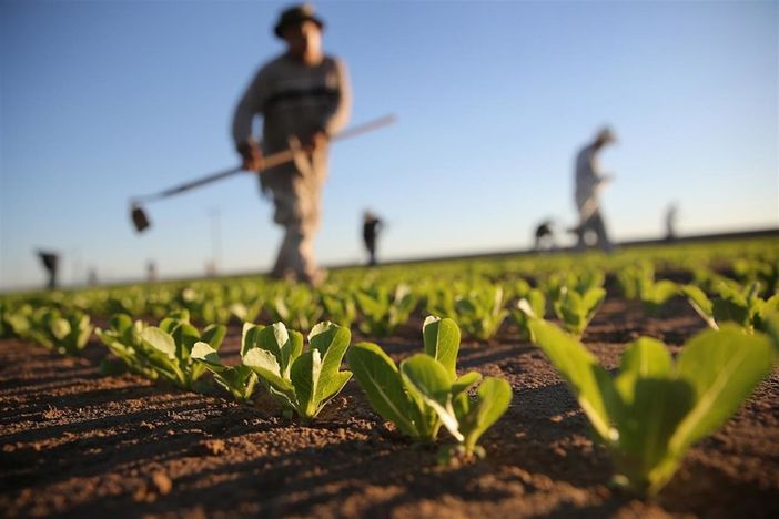 Il Favla di Cuneo festeggia il 50° compleanno raccontando “La storia del welfare in agricoltura” Il Favla di Cuneo festeggia il 50° compleanno raccontando “La storia del welfare in agricoltura”