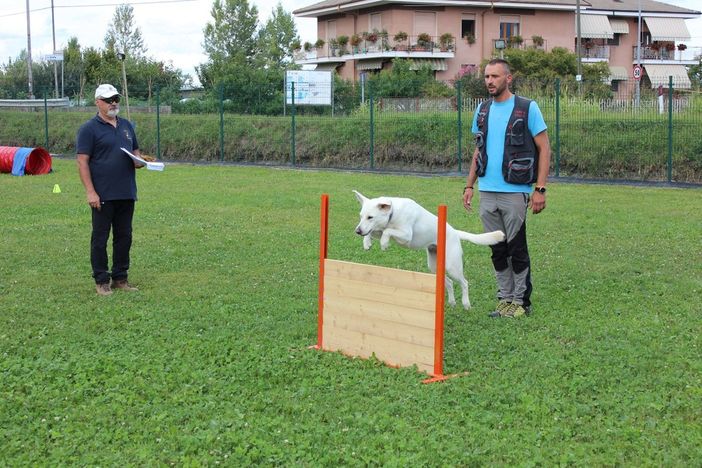 A Caraglio grande successo per la gara di ricerca per cani e conduttori