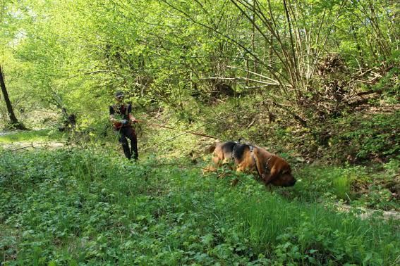 Due cani molecolari si sono esercitati a Chiusa Pesio