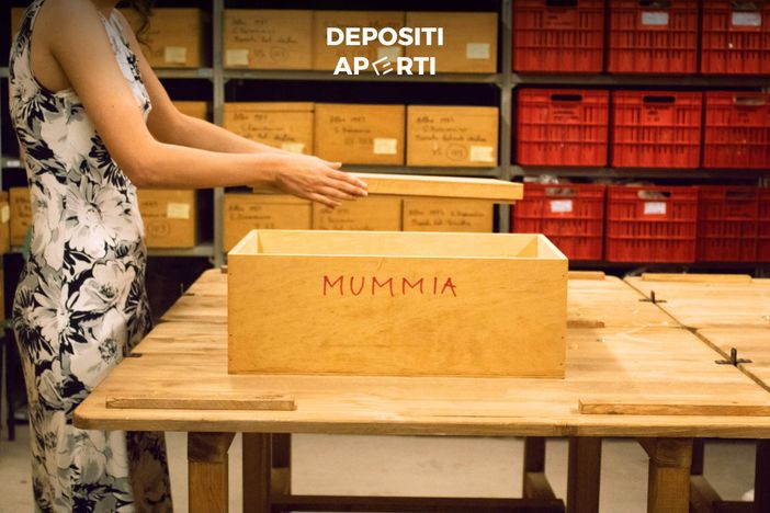 Depositi Aperti al Museo di Alba “Speciale Festa di San Lorenzo” Depositi Aperti al Museo di Alba “Speciale Festa di San Lorenzo”